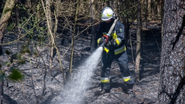 Ekstremalne zagrożenie pożarowe w Lubuskiem. Wysłano Alert RCB