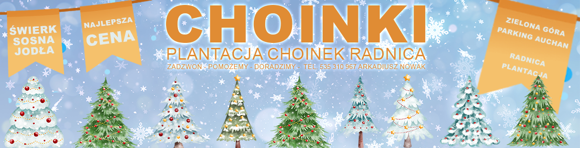 Plantacja Choinek Radnica