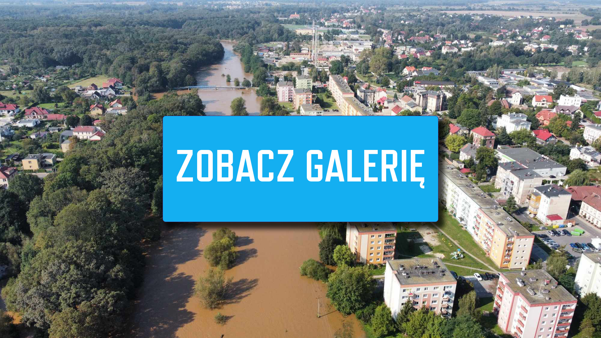 szprotawa galeria