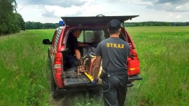 Sulęcin: Wrócił do Polski i zaginął. 44-latek odnaleziony po dwóch dniach poszukiwań (ZDJĘCIA)