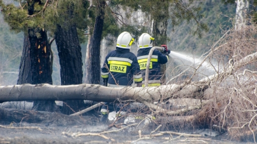 Pożar koło Gorzowa. Płonie las i były poligon. Ogień pojawił się w kilku miejscach