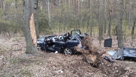 Wypadek koło Nowej Soli. "24-letni kierowca zasnął i uderzył w drzewo" (ZDJĘCIA)
