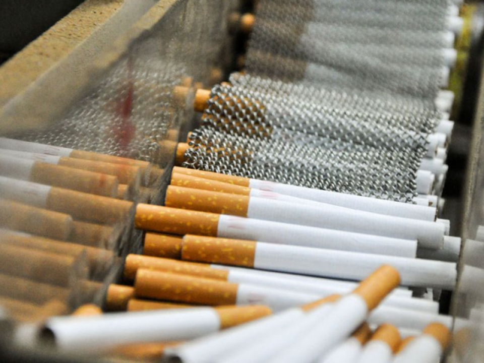 Kryminalni z Żar zabezpieczyli blisko ćwierć tony krajanki tytoniu o czarnorynkowej wartości niemal 200 tys. złotych