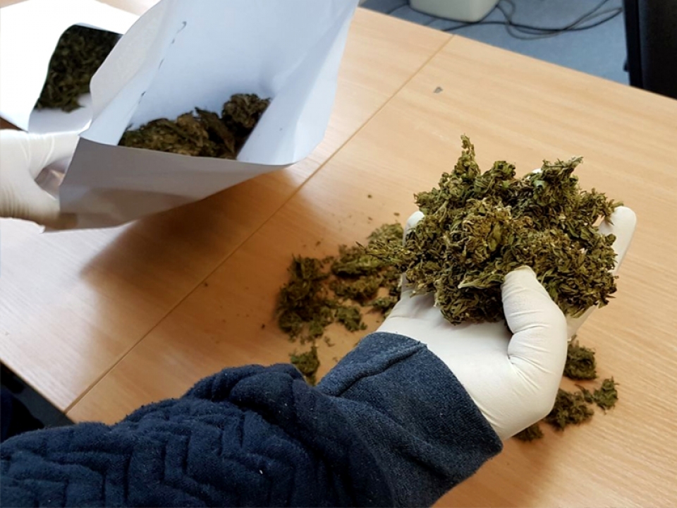 Kolejne narkotyki nie trafią na rynek. Gorzowscy policjanci zlikwidowali dwie plantacje marihuany (ZDJĘCIA)