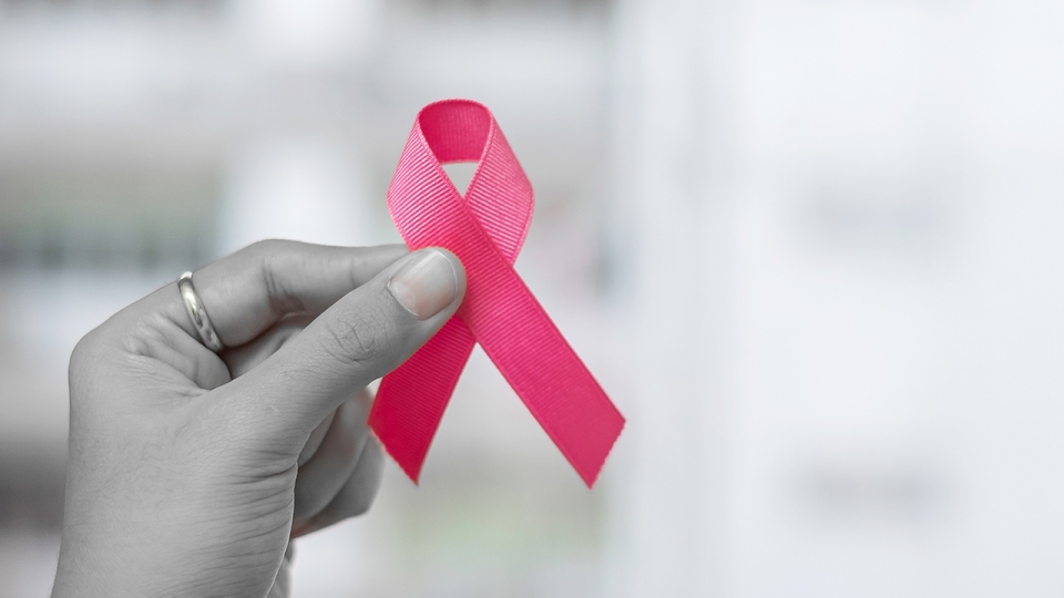 Stowarzyszenie Amazonek udziela porad na temat wczesnego wykrywania raka piersi
