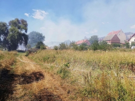 Ogromny pożar traw koło Krosna Odrzańskiego. Zagrożona jest pobliska wieś (ZDJĘCIA, FILM)