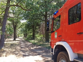 Pożar lasu w Barcikowicach. W akcji 3 zastępy straży pożarnej (ZDJĘCIA)