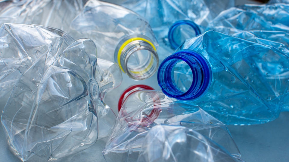 Pilotażowy program zbiórki plastikowych butelek typu PET w Sulechowie!