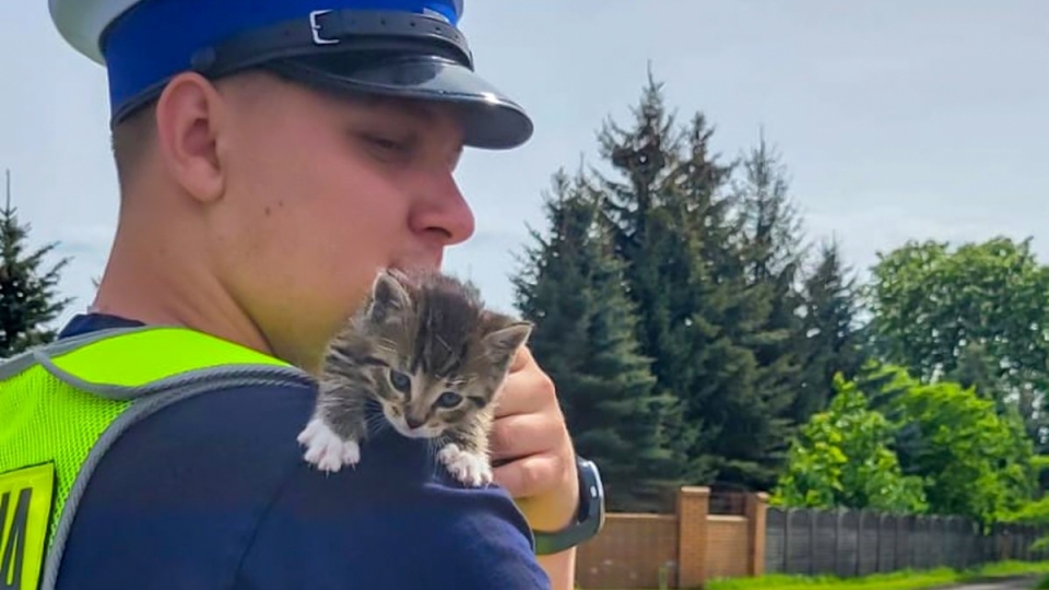 Policjanci uratowali małego kotka. Zwierzak znalazł nowy dom u funkcjonariusza!