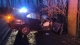 Wypadek pod Sulechowem. Osobówka uderzyła w drzewo. Dwie osoby zostały ranne (ZDJĘCIA)
