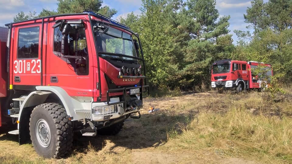 Pożar lasu i traw w Gorzowie. W akcji 10 zastępów straży pożarnej