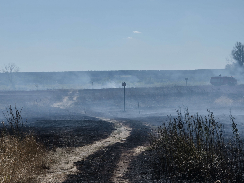 Groźny pożar pod Krosnem Odrzańskim. Spłonęło 15 hektarów traw. Ogień zagrażał wsi (ZDJĘCIA)