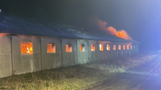 Pożar pod Gorzowem. Płonął budynek. Ogień gasiło 12 zastępów straży pożarnej (ZDJĘCIA)