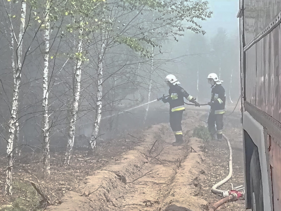Pożar lasu i młodnika w Leśniowie Wielkim. W akcji samolot gaśniczy