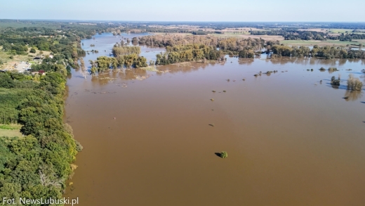 Leśnicy liczą straty po powodzi.  W całym kraju zniszczenia dotknęły tysięce hektarów