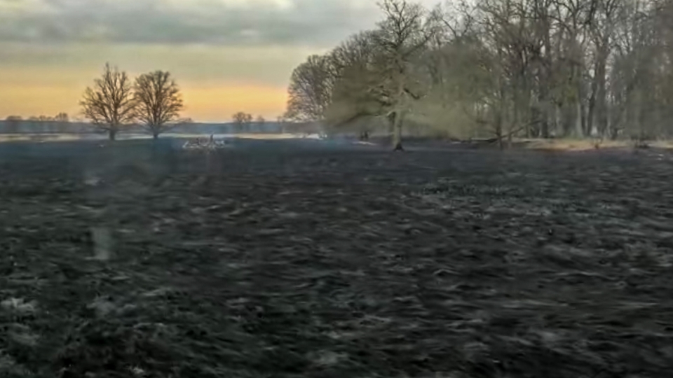Ogromny pożar nieużytków nad Odrą. Spłonęło około 60 hektarów!