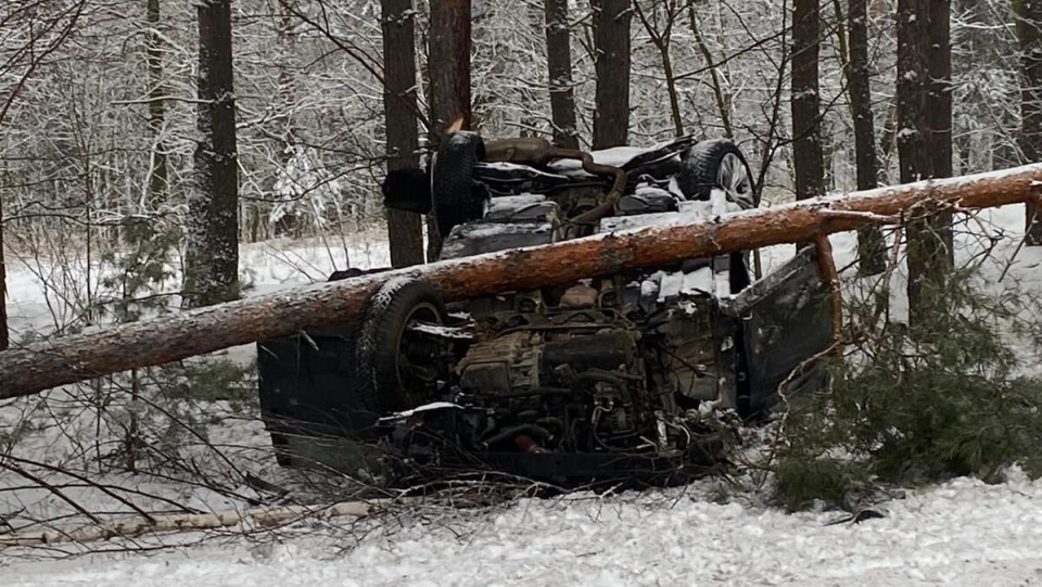 Groźny wypadek pod Krosnem Odrzańskim. Samochód ściął drzewo i dachował (ZDJĘCIA)