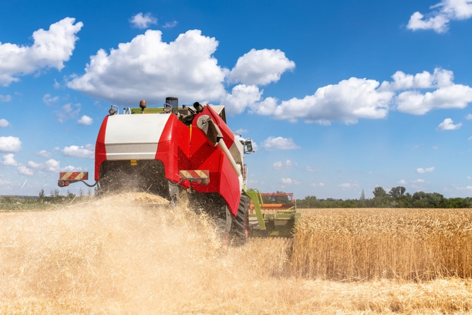 Massey Ferguson – amerykański ulubieniec polskich rolników    