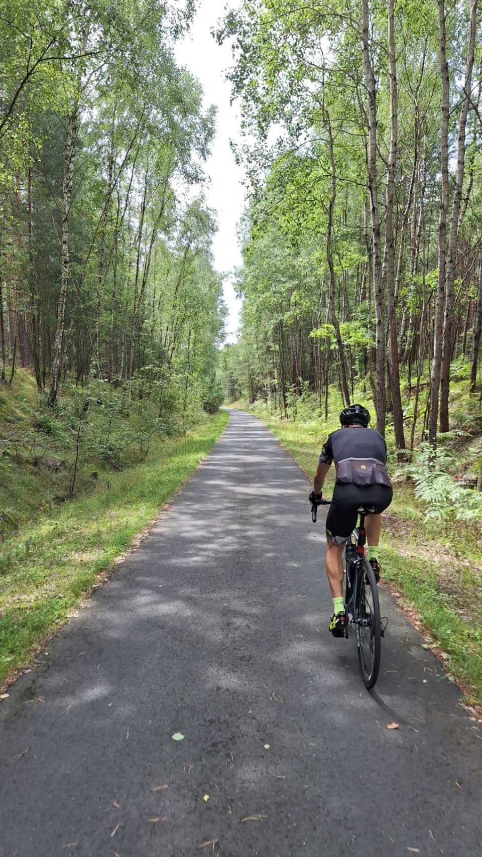 Ta trasa rowerowa w Lubuskiem przyciąga rowerzystów. Ma miano legendarnej Drogi 66