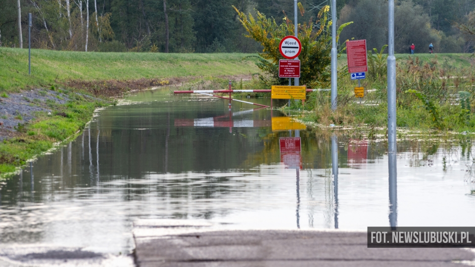 Wysoki poziom wody w Odrze w Lubuskiem. IMGW wydało ostrzeżenia III stopnia! (ZDJĘCIA)