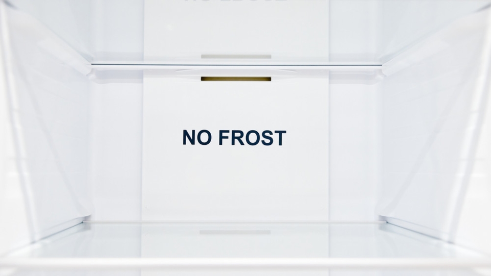 Amica No Frost - który model lodówki wybrać?