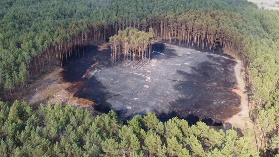 Pożar lasu koło Lubska. W akcji 13 zastępów straży pożarnej i samolot gaśniczy