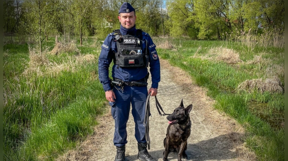 Policja w Międzyrzeczu ma nowego psa. Peri patroluje już miasto (ZDJĘCIA)