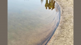 Ktoś zanieczyścił jezioro w Kłodawie koło Gorzowa. To nie pierwszy przypadek (ZDJĘCIA)