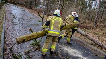 Silny wiatr w Lubuskiem. Strażacy usuwają powalone drzewa i nie ma prądu