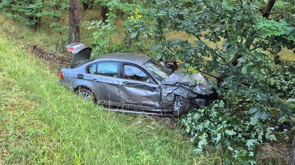 Wypadek na krajowej "22" w Lubuskiem. Są ranni. Jedno z aut roztrzaskało się o drzewo (ZDJĘCIA)