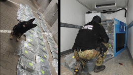 Akcja straży granicznej w Świecku. Przejęto 217 kilogramów marihuany o wartości 6,5 miliona (ZDJĘCIA)