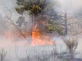Ogromny pożar poligonu w Gorzowie Wielkopolskim. W akcji 12 zastępów straży pożarnej oraz samoloty gaśnicze
