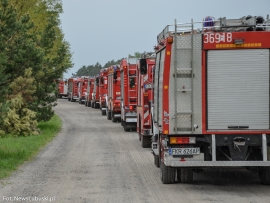 Ćwiczenia "LAS 2018" w Nowogrodzie Bobrzańskim. W akcji strażacy z dwóch powiatów (ZDJĘCIA)