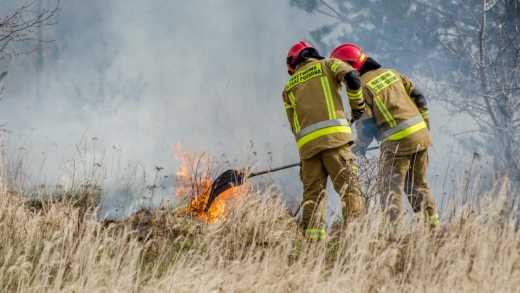 Płonie kilkadziesiąt hektarów nieużytków pod Gozdnicą. Zagrożony las! Trwa akcja gaśnicza