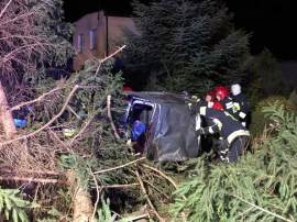 Groźny wypadek w Jeninie. Osobówka ścięła trzy drzewa (ZDJĘCIA)