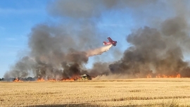 Pożar koło Sulechowa. Spłonęło 10 hektarów zboża na pniu (ZDJĘCIA, FILM)