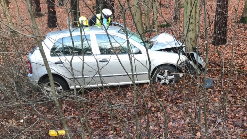Wypadek koło Gorzowa. Auto uderzyło w drzewo. Jedna osoba została poszkodowana
