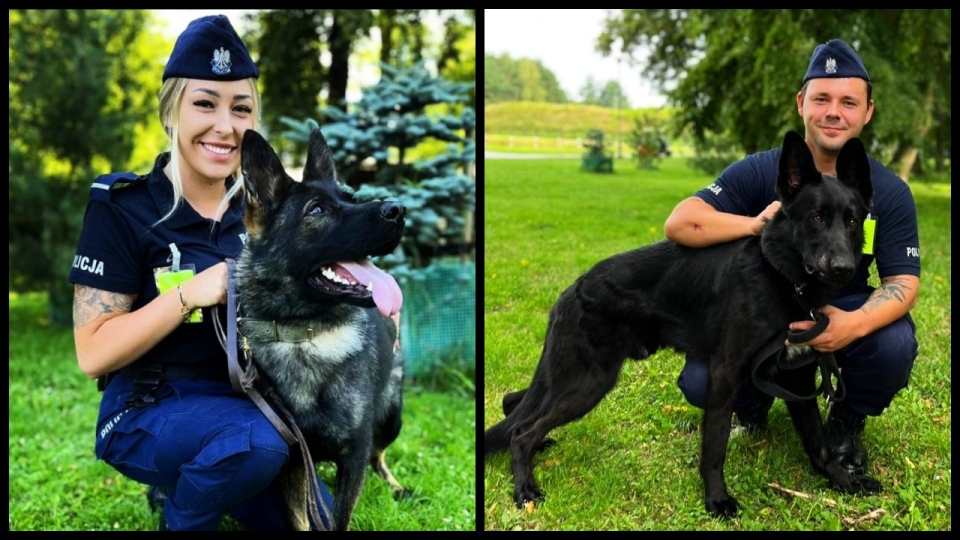 Policja w Zielonej Górze i Gorzowie ma nowe psy