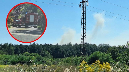 Pożar w Zielonej Górze. Płonie stajnia. W akcji 15 zastępów straży pożarnej