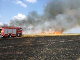 Cztery groźne pożary upraw wolnych oraz kombajnów. W akcji ponad 20 zastępów straży oraz samoloty (ZDJĘCIA)