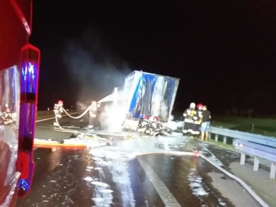 Nocny pożar ciężarówki na S3 pod Gorzowem. Indyki płonęły żywcem (ZDJĘCIA)