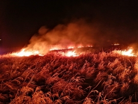 Pożar traw w Podlegórzu koło Sulechowa. Ogień zbliżał się do lasu (ZDJĘCIA)