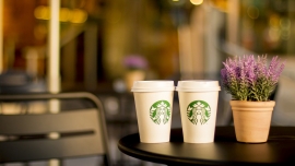 Popularna kawiarnia Starbucks już niedługo w Zielonej Górze!