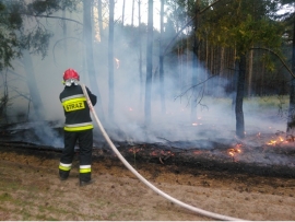 Pożar lasu pod linią energetyczną w okolicach Kuligowa (ZDJĘCIA)