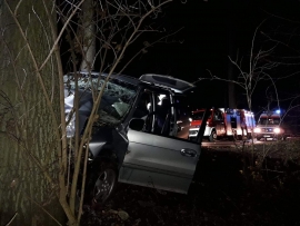 Wypadek pod Trzebiechowem. Auto z ośmioma obcokrajowcami uderzyło w drzewo (ZDJĘCIA)