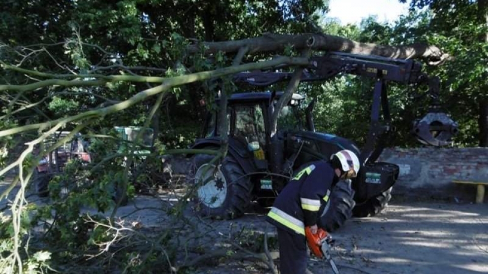 Nietków: Konar drzewa spadł na ciągnik rolniczy. W akcji 2 zastępy straży pożarnej!