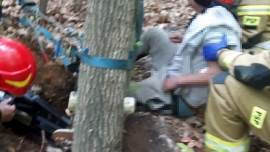 Wędrzyn: Podcinał drzewo w lesie. Pień zmiażdżył mu nogę. W akcji śmigłowiec LPR (ZDJĘCIA)