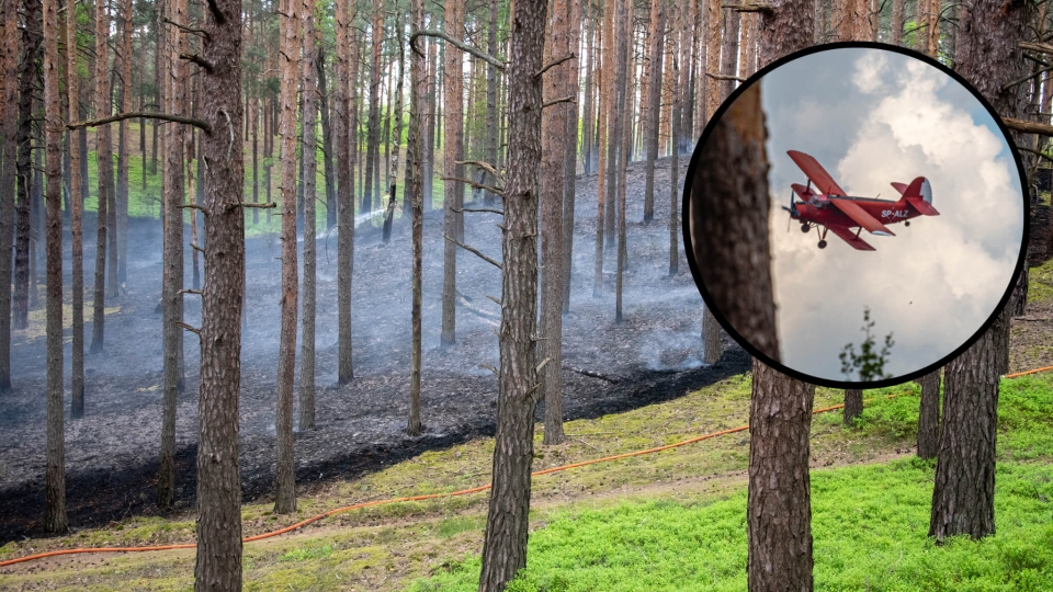 Pożar w Zielonej Górze. Płonął las. W akcji samolot gaśniczy