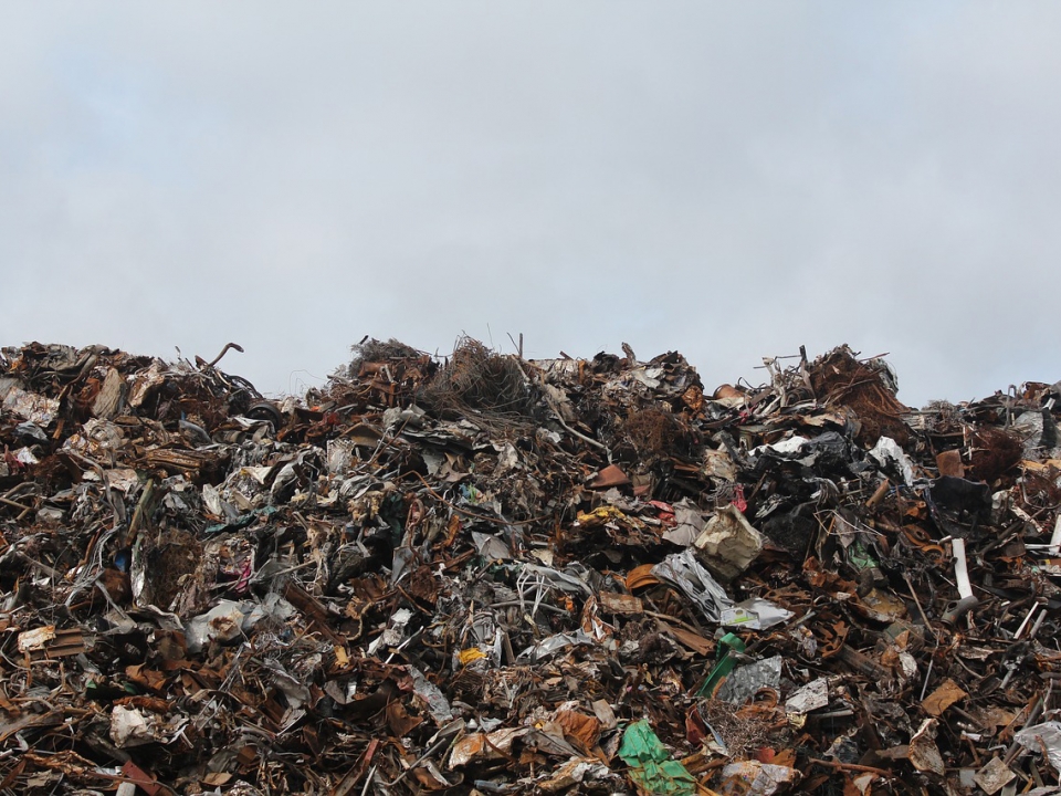 Odpady składowane w centrum Zielonej Góry sukcesywnie usuwane