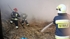 Pożar kurnika pod Gorzowem. Około 20 tysięcy kurczaków spłonęło żywcem (ZDJĘCIA)